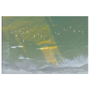 Local Surf Club Canvas Print