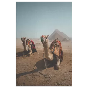 Giza's Guardians Canvas Print